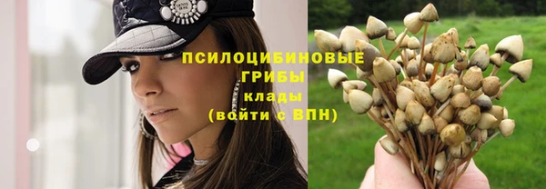 мет Тольятти