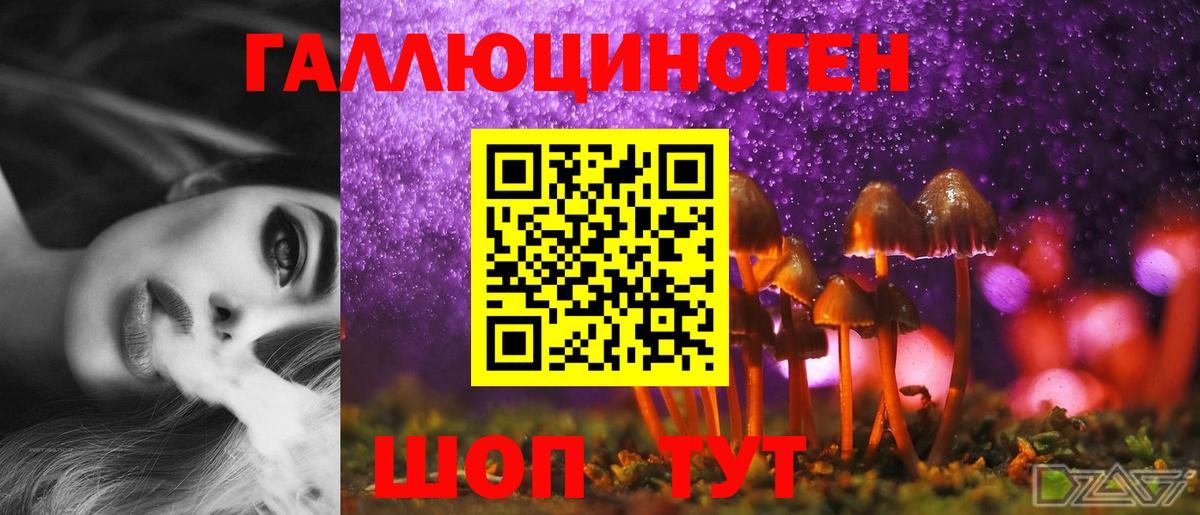 Аша  Галлюциногенные грибы MAGIC MUSHROOMS  Вход с VPN 