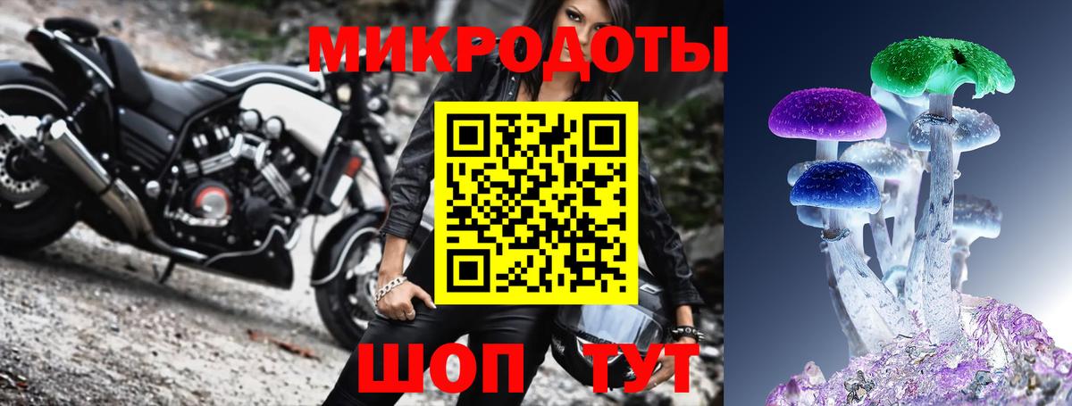 Псилоцибиновые грибы Cubensis  Аша  Галлюциногенные грибы Magic Shrooms 