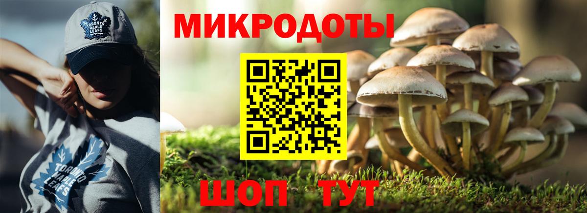 Псилоцибиновые грибы MAGIC MUSHROOMS Аша